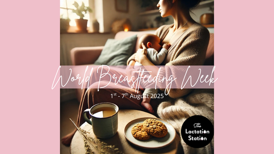 Small Moments, Big Wins: Celebrating the Everyday Realities of Breastfeeding